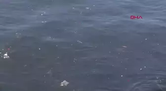 İzmir Körfezi'nde Balık Tutma Yasaklarına Rağmen Vatandaşlar Oltalarını Aldı