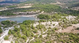 Osmancalı Fosil Ormanı Tabiat Anıtı Olarak Tescillendi