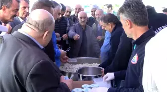 Samsun'da 10. Çeltik Hasat Şenliği Düzenlendi, 165 Bin Ton Rekolte Bekleniyor