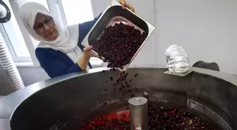 Kırsal Kadınlardan Ekonomik Dayanışma Projesi