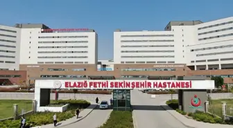 Elazığ Fethi Sekin Şehir Hastanesi, Obezite Cerrahisi ile Gurbetçilere Sağlık Hizmeti Sunuyor