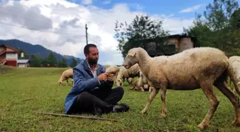 Yurt dışına gitti, 2 üniversite bitirdi! Tahsilli çoban hedeflerinden vazgeçmiyor hem koyun otlatıyor hem sınava hazırlanıyor