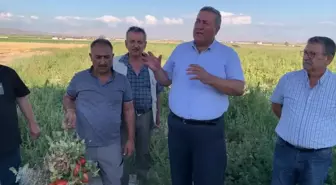 CHP'li Gürer: Çiftçiler Zor Bir Sezon Geçiriyor