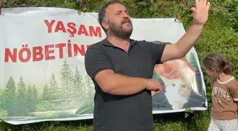 Artvin'de Ağaç Kesimi Protestolarında Gözaltılar ve Serbest Bırakılmalar