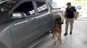 Şırnak'ta Narkotik Köpeği 'Hektor' 24 Kilo Uyuşturucu Yakaladı