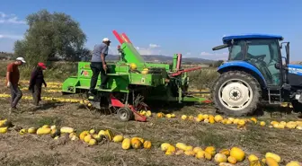 Beyşehir'de Kabak Çekirdeği Üretiminde İvme Kazanıldı