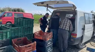 Beyşehir'de Su Ürünleri Denetimleri Devam Ediyor