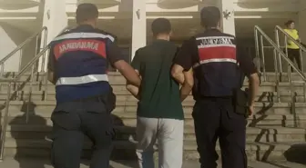 Bodrum'da 14 Yıl Cezası Olan Firari Hükümlü Yakalandı