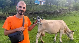 Drone ile İneklerini Getiren Gençten İlginç Yöntem