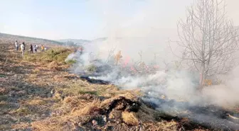 Bursa'nın Yenişehir İlçesinde Orman Yangını Kontrol Altına Alındı