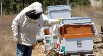 Eskişehirli Erhan İnan'dan Lavanta Balı Üretiminde Başarı