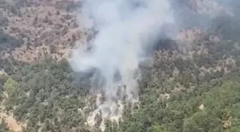 İzmir Kemalpaşa'da Orman Yangını! Havadan ve Karadan Mücadele Devam Ediyor