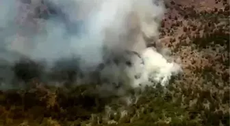 İzmir Kemalpaşa'da Orman Yangınına Havan ve Karadan Müdahele