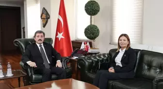 OMÜ Rektörü Prof. Dr. Fatma Aydın, Vali Orhan Tavlı'yı Ziyaret Etti