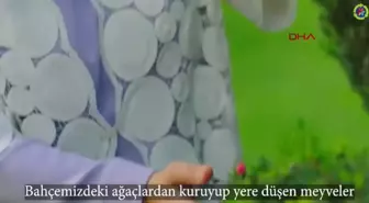 Sıfır Atık Hareketi'nin 7. Yılı: 7 Kıta, 7 Hedef