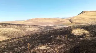 Malatya'da Yüzlerce Dönümlük Alanda Anız Yangını Söndürüldü