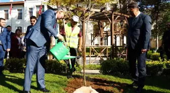 Bakan Vedat Işıkhan Bilecik'te Çınar Fidanı Dikti