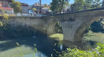 Bartın Irmağı'nda Balık Ölümleri Tedirginlik Yarattı