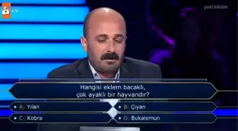 Hangisi eklem bacaklı, çok ayaklı bir hayvandır? Yılan Çıyan Kobra Bukalemun Kim Milyoner Olmak İster 27 Eylül sorusu cevabı nedir?