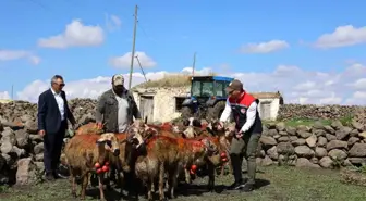 Kars'ta Geleneksel Koç Katımı Etkinliği Düzenlendi