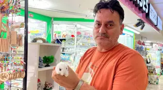 Eskişehir'de Pet Shop Sahibi Hayvan Bakımında Farkındalık Eksikliğine Dikkat Çekti