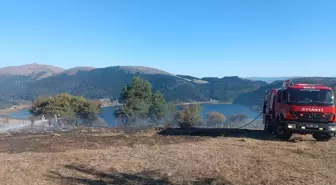 Abant Gölü Milli Parkı'nda Yangın Söndürüldü