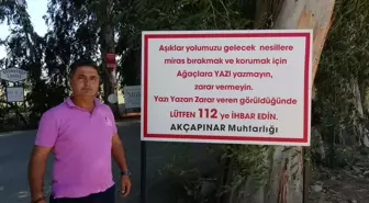 Ula'daki Ağaçlara Yazı Yazılmasına Karşı Uyarı Tabelası