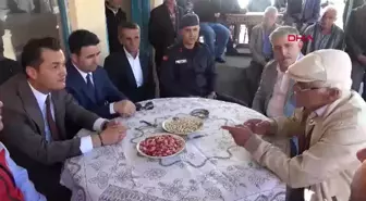 Sivas'ta Menengiç Ağaçlarından Antep Fıstığı Üretimi Yaygınlaşıyor