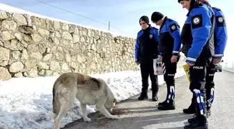 Yüksekova'nın Sevilen Başkomiseri Selman Beğde Tayin Oldu