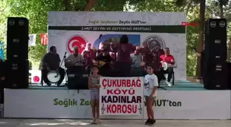 Mersin'de Şalvarlı Kadınlar Korosu Zeytin Festivali'nde Sahne Aldı