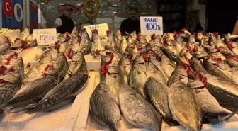 Karadeniz'de Balık Bereketi: Palamut Fiyatları Normal Seyrediyor