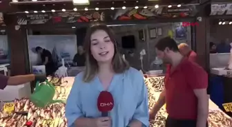 Karadeniz'de Balık Bereketi Başladı