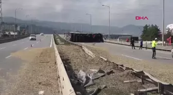 Samsun'da Arı Sokmasıyla TIR Kazası: Sürücü Yaralandı