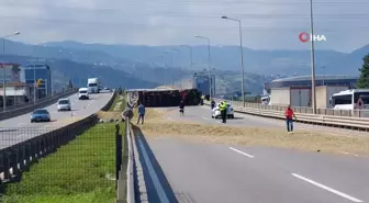 Boynunu Arı Sokan Tır Sürücüsü Kazada Yaralandı