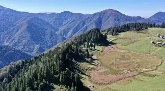 Giresun'un Huzur Dolu Noktası: Gölyanı Yaylası