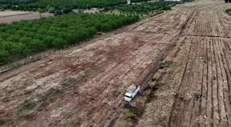 Malatya'da Soğan Hasadı Tamamlandı, Ürünler Avrupa'ya İhraç Edilecek