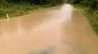 Zonguldak'ta Yoğun Yağışlar Ulaşımı Olumsuz Etkiledi