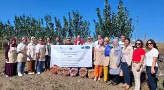 Kadın Girişimciliği Destekleyen Projeler Orta Karadeniz'de Hayata Geçiyor