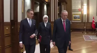 Cumhurbaşkanı Recep Tayyip Erdoğan, Finlandiya Cumhuriyeti Cumhurbaşkanı Alexander Stubb ile görüştü