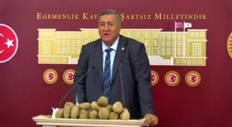 CHP'li Gürer: Kışlık Patatesler Kamu Eliyle Alınmalı