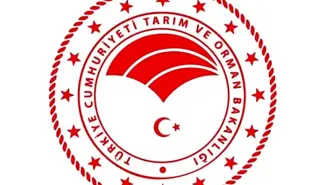 Kayseri'de Taklit Gıda Ürünleri Listesi Açıklandı