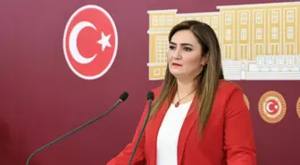 Yeni Anayasa Tartışmaları... CHP'li Kılıç: 'saray'ın Kapalı Kapıları Arkasında Yazılmış Anayasayı Bize Dayatacaklar'