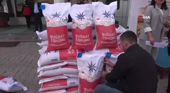 Ağrı'da 300 Ton Sertifikalı Buğday Tohumu Dağıtıldı