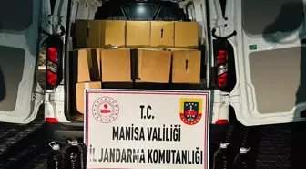 Manisa'da 2 Ton Sahte Zeytinyağı Ele Geçirildi