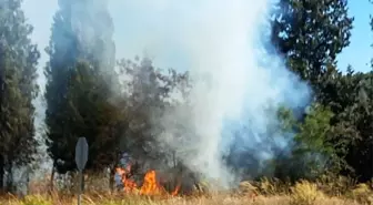 Muğla'da Stratonikeia Yakınlarında Orman Yangını Kontrol Altına Alındı