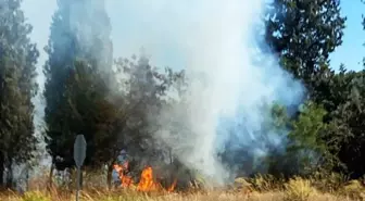 Muğla Yatağan'da Orman Yangını Kontrol Altına Alındı