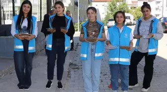 Öğrenciler Sokak Hayvanları İçin Mama ve Su Bıraktı