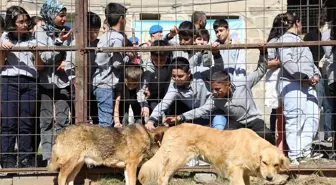 Bitlis Belediyesi'nden 4 Ekim Hayvanları Koruma Günü Etkinliği