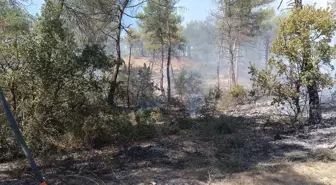 Bolu Göynük'te Yangın Kontrol Altına Alındı