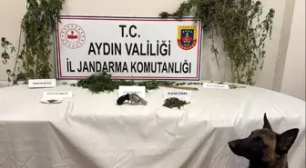 Aydın'da Uyuşturucu Baskını: 1 Şüpheli Yakalandı